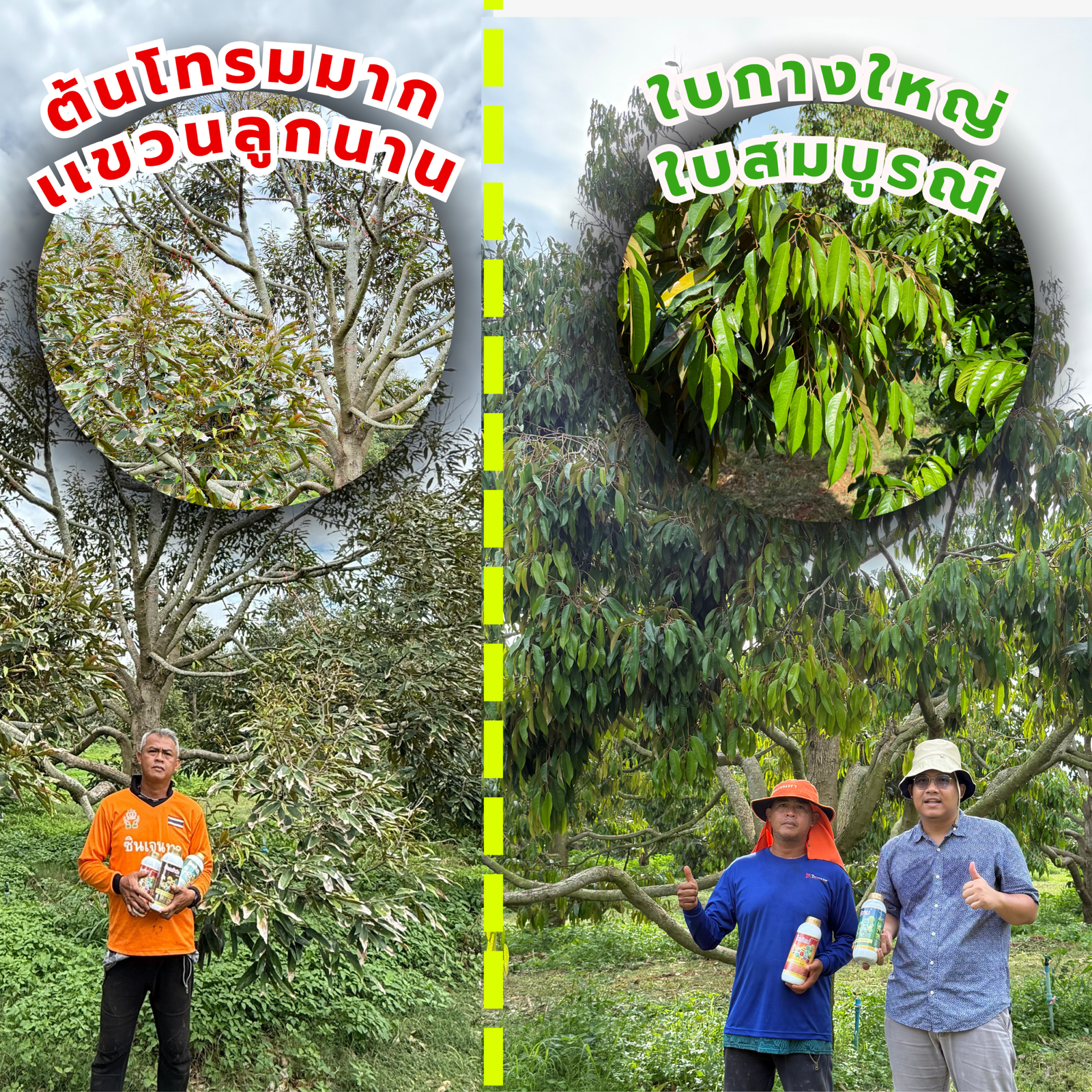 คุณโอ๊ต ทุเรียนปากช่อง