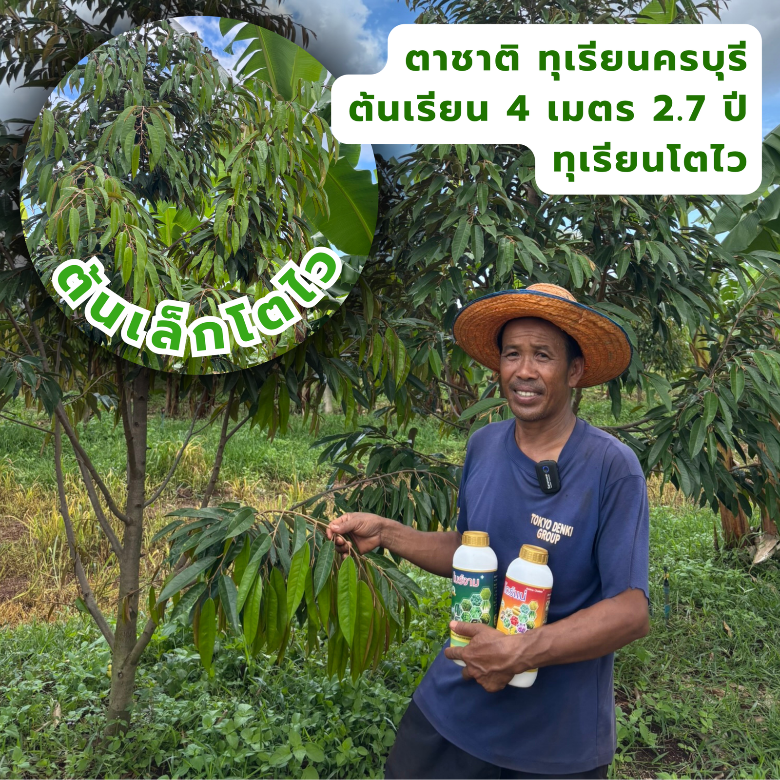 ตาชาติ ทุเรียนครบุรี