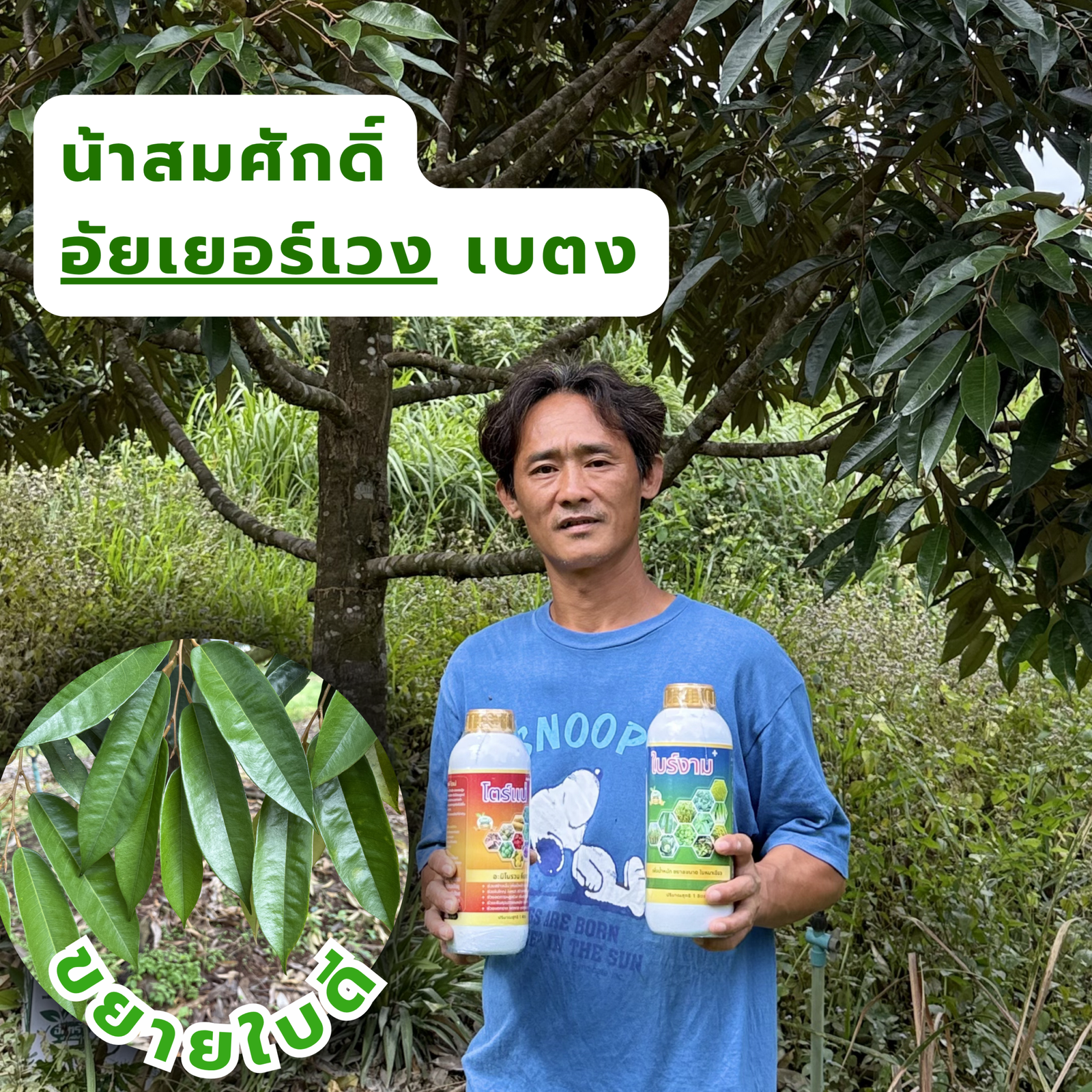น้าสมศักดิ์ ทุเรียนเบตง