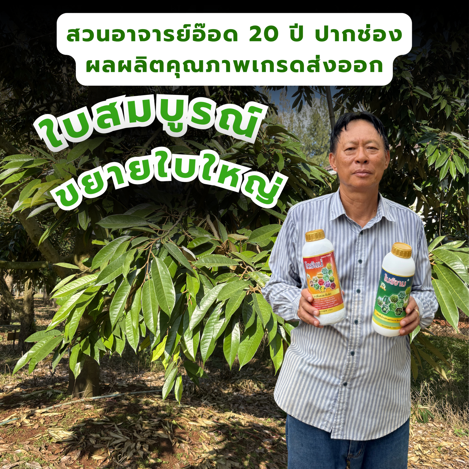 อ.อ๊อด ทุเรียนปากช่อง