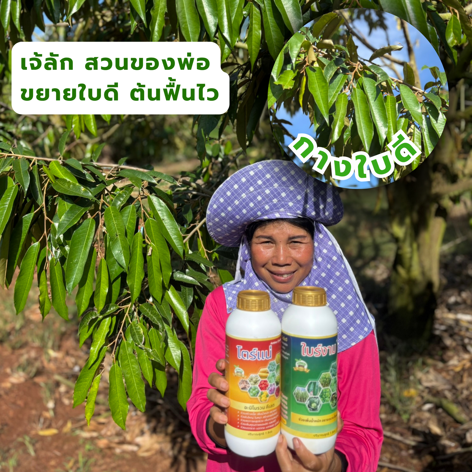 เจ้ลักทุเรียน ไร่ของพ่อ