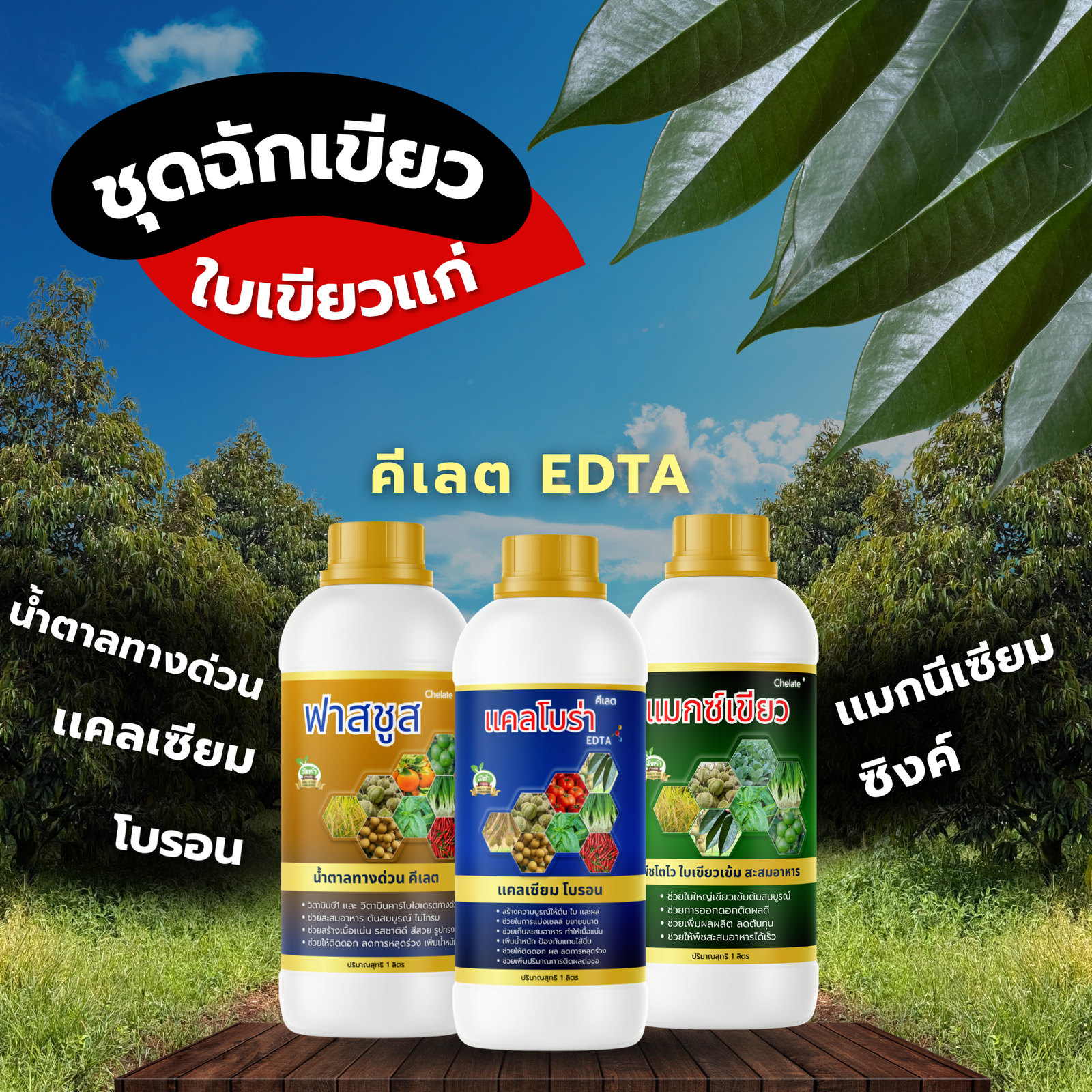 Poster Product (17)